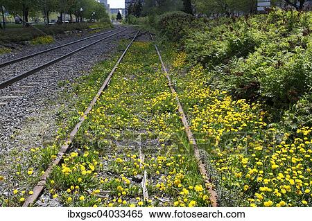 Stock Photography - "Railway track, Montreal, Quebec Province, Canada, North America". Fotosearch