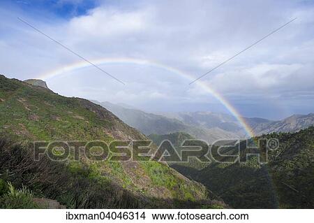 "Rainbow, Garajonay National Park, La Gomera, Canary Islands, Spain, Europe" View Large Photo Image Picture - "Rainbow, Garajonay National Park, La Gomera, Canary Islands, Spain, Europe". Fotosearch