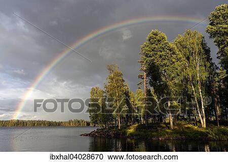 "Rainbow over Lake Rusken, storm clouds, evening light, Smaland, Sweden, Europe" View Large Photo Image Stock Image - "Rainbow over Lake Rusken, storm clouds, evening light, Smaland, Sweden, Europe". Fotosearch