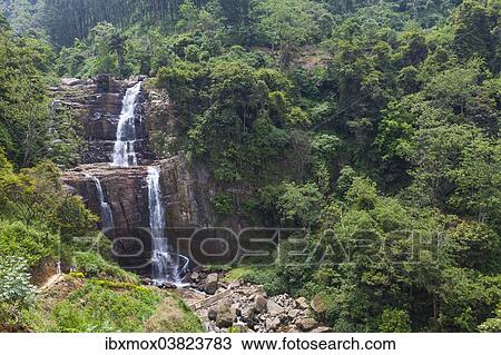 "Ramboda Falls near Ramboda, Central Province, Sri Lanka, Asia" View Large Photo Image Stock Image - "Ramboda Falls near Ramboda, Central Province, Sri Lanka, Asia". Fotosearch