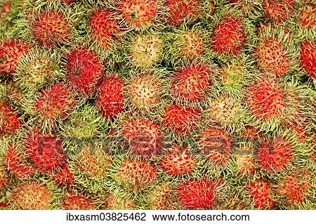 Stock Image - "Rambutans (Nephelium lappaceum) for sale on a market, Chiang Mai, Thailand, Asia". Fotosearch