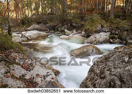 "Ramsauer Ache River in the enchanted forest, Berchtesgaden National Park, Ramsau, Berchtesgadener Land district, Upper Bavaria, Bavaria, Germany, Europe" View Large Photo Image Stock Image - "Ramsauer Ache River in the enchanted forest, Berchtesgaden National Park, Ramsau, Berchtesgadener Land district, Upper Bavaria, Bavaria, Germany, Europe". Fotosearch