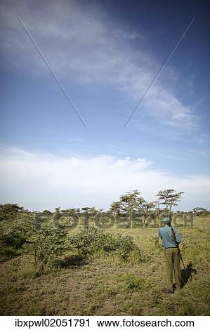 "Ranger in the Serengeti, Tanzania, Africa" View Large Photo Image Stock Image - "Ranger in the Serengeti, Tanzania, Africa". Fotosearch