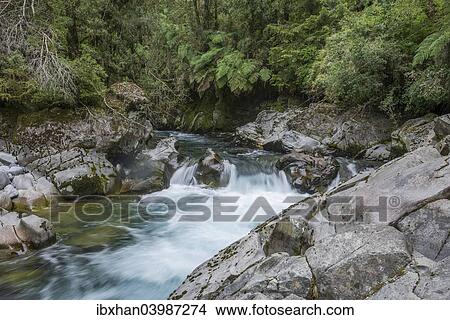 "Rapidos del Chanleufu rapids, Puyehue National Park, Los Lagos Region, Chile, South America" View Large Photo Image Picture - "Rapidos del Chanleufu rapids, Puyehue National Park, Los Lagos Region, Chile, South America". Fotosearch