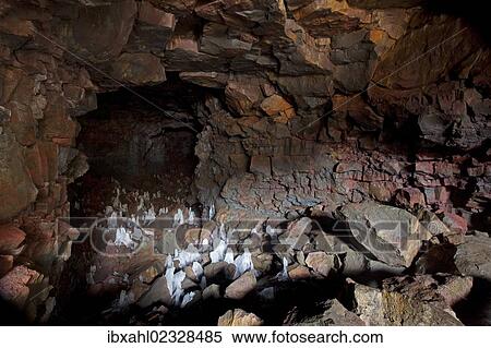 Stock Photography - "Raufarhollshellir cave, Hveragerdi, South Iceland, Iceland, Europe". Fotosearch