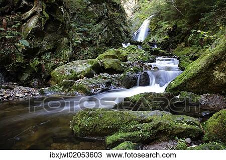 "Ravennaschlucht gorge near Hinterzarten, Black Forest, Baden-Wuerttemberg, Germany, Europe" View Large Photo Image Stock Image - "Ravennaschlucht gorge near Hinterzarten, Black Forest, Baden-Wuerttemberg, Germany, Europe". Fotosearch
