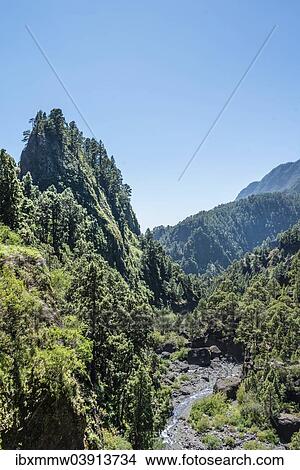 Picture - "Ravine with creek in the Caldera de Taburiente National Park, La Palma, Canary Islands, Spain, Europe". Fotosearch