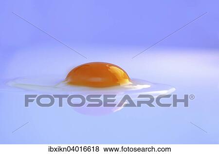 Raw egg View Large Photo Image Stock Photo - Raw egg. Fotosearch