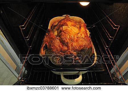 Ready roast duck with onions in the oven View Large Photo Image Stock Image - Ready roast duck with onions in the oven. Fotosearch