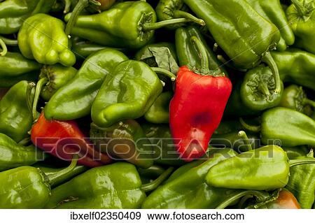 "Red and green peppers, weekly market, Majorca, Spain, Europe" View Large Photo Image Stock Photo - "Red and green peppers, weekly market, Majorca, Spain, Europe". Fotosearch