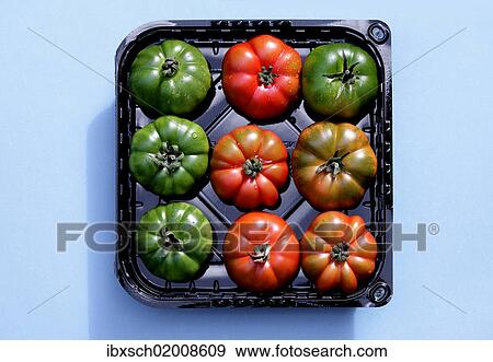 Red and green tomatoes in a black plastic tray View Large Photo Image Stock Photo - Red and green tomatoes in a black plastic tray. Fotosearch