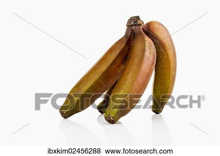 Red bananas from Mexico View Large Photo Image Stock Photo - Red bananas from Mexico. Fotosearch