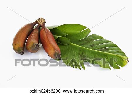 Red bananas from Mexico with a banana leaf View Large Photo Image Stock Image - Red bananas from Mexico with a banana leaf. Fotosearch