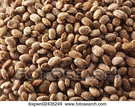 Stock Photo - Red beans. Fotosearch