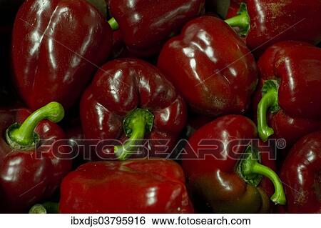 Red bell peppers View Large Photo Image Stock Photograph - Red bell peppers. Fotosearch