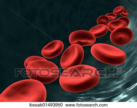 "Red blood cells, 3D Illustration" View Large Photo Image Stock Image - "Red blood cells, 3D Illustration". Fotosearch