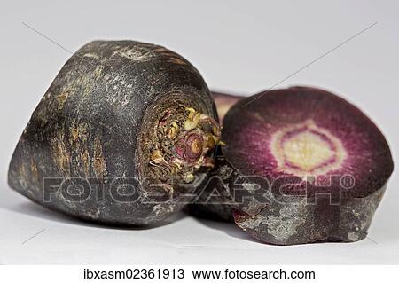 Red carrot View Large Photo Image Stock Image - Red carrot. Fotosearch
