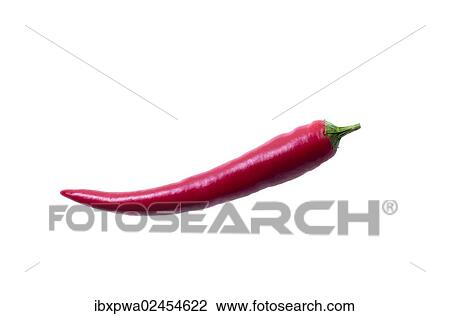 Red Chili Pepper (Capsicum) View Large Photo Image Stock Image - Red Chili Pepper (Capsicum). Fotosearch