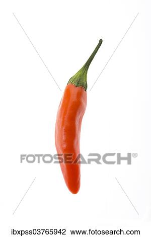 "Red chili pepper, Tabasco" View Large Photo Image Stock Image - "Red chili pepper, Tabasco". Fotosearch