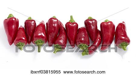 Stock Photography - Red chili peppers (Capsicum annuum). Fotosearch