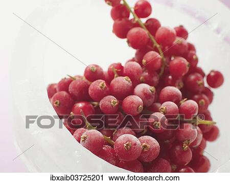 Red currants in bowl View Large Photo Image Stock Image - Red currants in bowl. Fotosearch