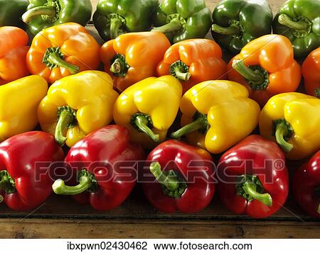 Stock Image - "Red, green, yellow and orange fresh peppers". Fotosearch
