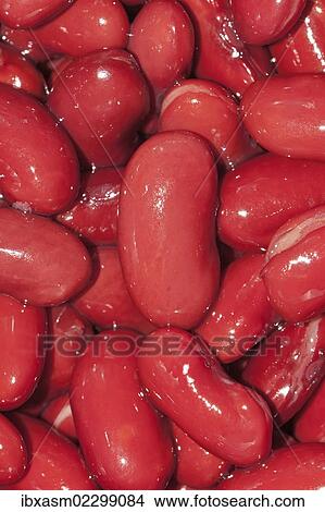 Picture - Red Kidney beans (Phaseolus vulgaris). Fotosearch