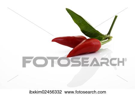 Red Peperoncini with leaves View Large Photo Image Stock Image - Red Peperoncini with leaves. Fotosearch