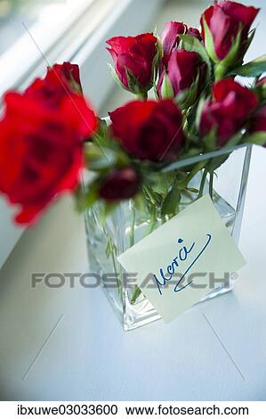"Red roses in vase with a note """"Merci"""", Mannheim, Baden-Wurttemberg, Germany, Europe" View Large Photo Image Stock Image - "Red roses in vase with a note """"Merci"""", Mannheim, Baden-Wurttemberg, Germany, Europe". Fotosearch