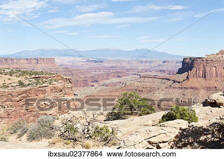 "Red sandstone, sparse vegetation, view towards the mountains, La Sal Mountains, Shafer Canyon Overlook, Island in the Sky, Canyonlands National Park, Utah, Western United States, United States of America, North America" View Large Photo Image Picture - "Red sandstone, sparse vegetation, view towards the mountains, La Sal Mountains, Shafer Canyon Overlook, Island in the Sky, Canyonlands National Park, Utah, Western United States, United States of America, North America". Fotosearch