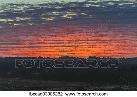 "Red sky at dawn, over sand dunes and heathland, Henne, Region of Southern Denmark, Denmark, Europe" View Large Photo Image Stock Image - "Red sky at dawn, over sand dunes and heathland, Henne, Region of Southern Denmark, Denmark, Europe". Fotosearch