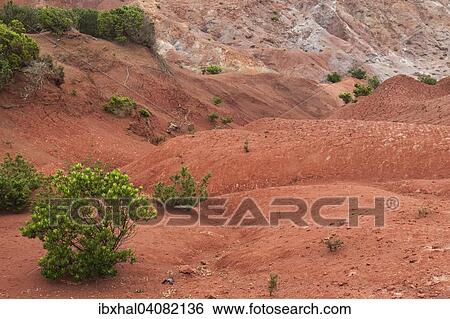 "Red soil, erosion, above the scarp slope, Agulo, La Gomera, Canary Islands, Spain, Europe" View Large Photo Image Stock Photograph - "Red soil, erosion, above the scarp slope, Agulo, La Gomera, Canary Islands, Spain, Europe". Fotosearch