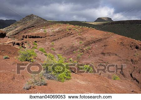 "Red volcanic rock at the Sendero Quise hiking trail, Alajero, La Gomera, Canary Islands, Spain, Europe" View Large Photo Image Stock Image - "Red volcanic rock at the Sendero Quise hiking trail, Alajero, La Gomera, Canary Islands, Spain, Europe". Fotosearch