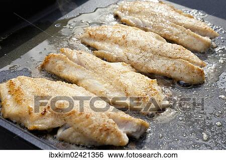 Redfish fillets being fried View Large Photo Image Stock Photograph - Redfish fillets being fried. Fotosearch