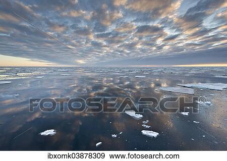 "Reflection, ice floes, edge of the pack ice, Arctic Ocean, Spitsbergen, Svalbard Islands, Svalbard and Jan Mayen, Norway, Europe" View Large Photo Image Stock Photo - "Reflection, ice floes, edge of the pack ice, Arctic Ocean, Spitsbergen, Svalbard Islands, Svalbard and Jan Mayen, Norway, Europe". Fotosearch