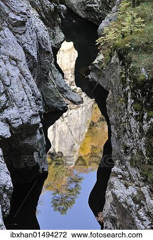Stock Image - "Reflection in the Reka river, Skocjanske jame, Skocjan Caves Park, Grotto of San Canziano, Skocjan, Slovenia, Europe". Fotosearch