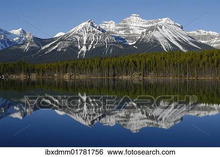 "Reflection of Mt. Niblock in Lake Herbert, Banff National Park, Rocky Mountains, Alberta, Canada, North America" View Large Photo Image Stock Photograph - "Reflection of Mt. Niblock in Lake Herbert, Banff National Park, Rocky Mountains, Alberta, Canada, North America". Fotosearch