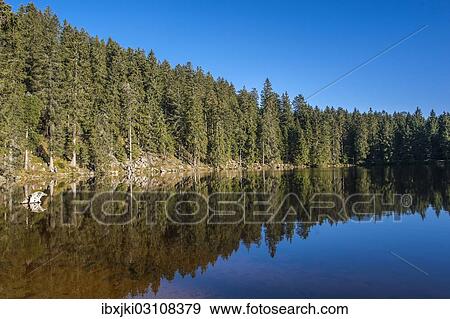 "Reflection of the forest in Mummelsee Lake, Seebach, Nordschwarzwald, Schwarzwald, Baden-Wurttemberg, Germany, Europe" View Large Photo Image Stock Photo - "Reflection of the forest in Mummelsee Lake, Seebach, Nordschwarzwald, Schwarzwald, Baden-Wurttemberg, Germany, Europe". Fotosearch