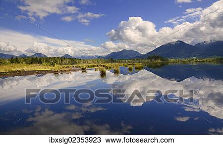 "Reflections in a bog, glacial Stammbecken Moor, former Nicklheim peat works, Rosenheim, Bavaria, Germany, Europe" View Large Photo Image Stock Image - "Reflections in a bog, glacial Stammbecken Moor, former Nicklheim peat works, Rosenheim, Bavaria, Germany, Europe". Fotosearch