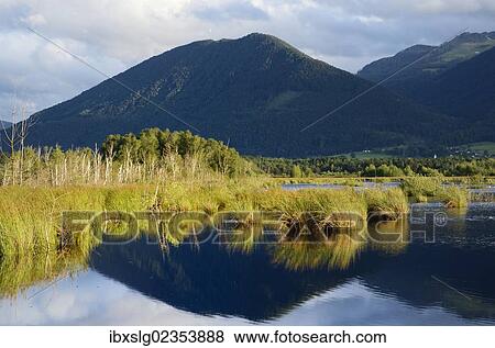 "Reflections in a bog, glacial Stammbecken Moor in the alpine uplands, former Nicklheim peat works, Rosenheim, Bavaria, Germany, Europe" View Large Photo Image Stock Photo - "Reflections in a bog, glacial Stammbecken Moor in the alpine uplands, former Nicklheim peat works, Rosenheim, Bavaria, Germany, Europe". Fotosearch