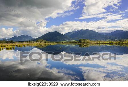 "Reflections in a bog, glacial Stammbecken Moor, former Nicklheim peat works, Rosenheim, Bavaria, Germany, Europe" View Large Photo Image Stock Photo - "Reflections in a bog, glacial Stammbecken Moor, former Nicklheim peat works, Rosenheim, Bavaria, Germany, Europe". Fotosearch
