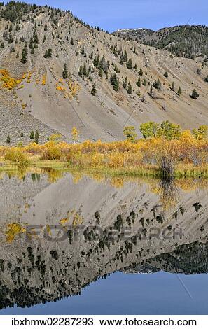 "Reflections in the Trail Creek, Trail Creek Valley, Sun Valley, Idaho, USA" View Large Photo Image Stock Image - "Reflections in the Trail Creek, Trail Creek Valley, Sun Valley, Idaho, USA". Fotosearch