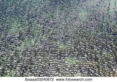"Reflections on the water, Cape Tarkhankut, near Olenivka, Crimea, Ukraine, Europe" View Large Photo Image Stock Image - "Reflections on the water, Cape Tarkhankut, near Olenivka, Crimea, Ukraine, Europe". Fotosearch