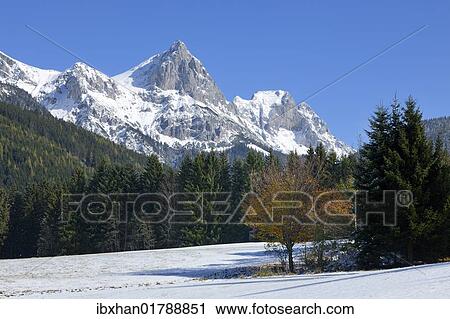 "Reichenstein mountain, 2251m, as seen from a meadow near the junction to the Kaiserau valley, Gesaeuse mountain region, Styria, Austria, Europe" View Large Photo Image Stock Image - "Reichenstein mountain, 2251m, as seen from a meadow near the junction to the Kaiserau valley, Gesaeuse mountain region, Styria, Austria, Europe". Fotosearch