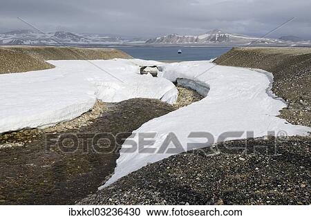 "Remnants of snow surrounding a stream of meltwater, expedition cruise ship MS Quest at the rear, Zorgdragerfjorden, Prins Oscars Land, Nordaustlandet, Svalbard Archipelago, Svalbard and Jan Mayen, Norway, Europe" View Large Photo Image Stock Image - "Remnants of snow surrounding a stream of meltwater, expedition cruise ship MS Quest at the rear, Zorgdragerfjorden, Prins Oscars Land, Nordaustlandet, Svalbard Archipelago, Svalbard and Jan Mayen, Norway, Europe". Fotosearch