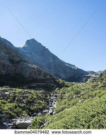 "Restonica river flowing at its source through mountain valley, Restonica mountain valley, Corte, Haute-Corse, Corsica, France, Europe" View Large Photo Image Stock Image - "Restonica river flowing at its source through mountain valley, Restonica mountain valley, Corte, Haute-Corse, Corsica, France, Europe". Fotosearch