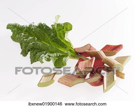 Rhubarb pieces and rhubarb leaf View Large Photo Image Stock Photograph - Rhubarb pieces and rhubarb leaf. Fotosearch