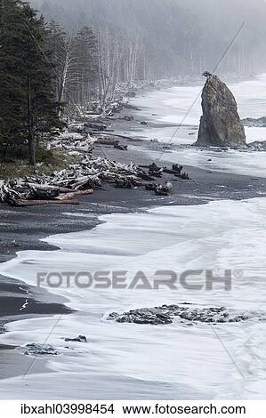 Picture - "Rialto Beach in Olympic National Park, La Push, Washington, United States, North America". Fotosearch