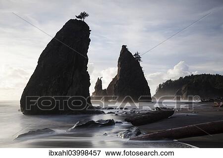 Stock Photo - "Rialto Beach in Olympic National Park, La Push, Washington, United States, North America". Fotosearch