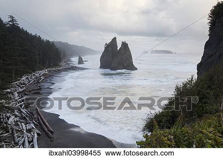 "Rialto Beach in Olympic National Park, La Push, Washington, United States, North America" View Large Photo Image Stock Photography - "Rialto Beach in Olympic National Park, La Push, Washington, United States, North America". Fotosearch